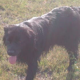 Shadow nat van het water :D
