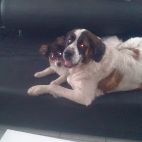 hihi Luna en faith