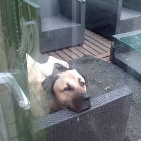 Diesel buiten