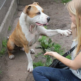 Onze lieve lieve Alex!