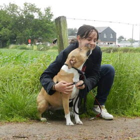 Samen met Pixie, weer in het asiel :'(