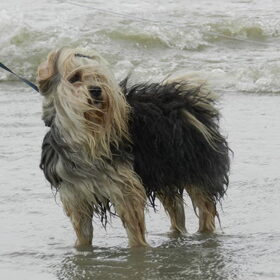 Dagje aan zee :-D