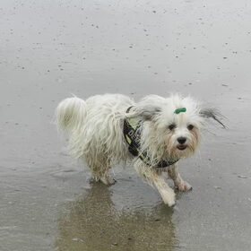 Dagje aan zee :-D