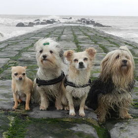 Met z'n alle poseren voor de foto