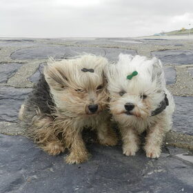 Wat een wind aan zee :-O