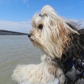 Taiko vond het echt geweldig op de boot !!! Dempsey daarentegen…