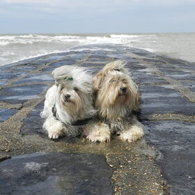Samen op de dijk liggen genieten