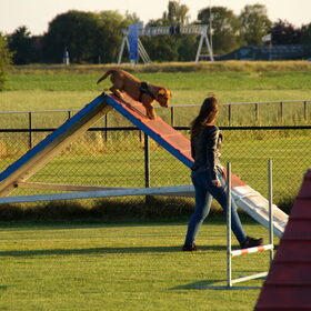 Schutting