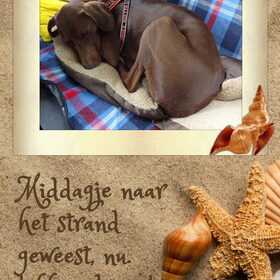Vanmiddag naar het strand geweest, ik ging helemaal onder water…