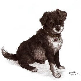 Een hondje dat ik heb getekend voor een opdrachtgever. Het is…