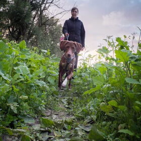 Door het paardenveld (met paardenpoep...) (Krakeendpad, 29 juni…