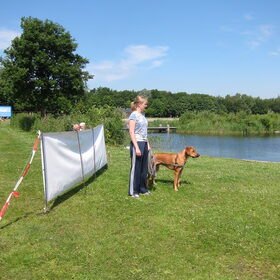 Hondenfoto van Anne-Wil (baasje van Juno)