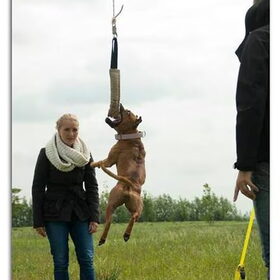Eerste keer highjump!