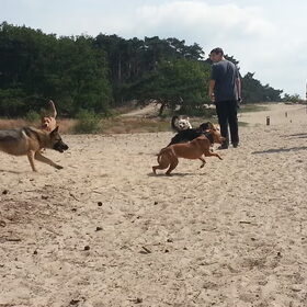 loonse-drunense duinen 2/7/13 (18)