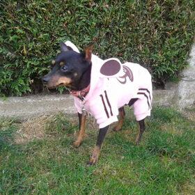 Blackie in haar joggingpakje :D Is voor de winter bedoelt, maar…