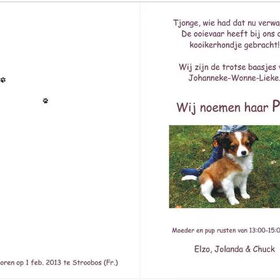 Pip,s "geboortje kaartje