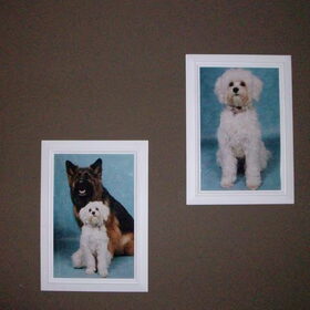 Fotolijsten Kamer