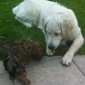 Nana en Ginny samen in de tuin