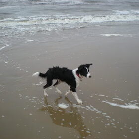 Voor het eerst op het strand!