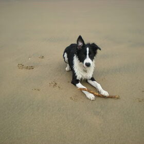 lekker op het strand!