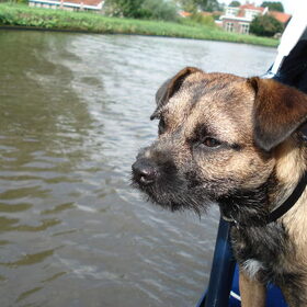 Matroos "Cooper" op zijn boot:-)