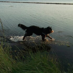 jeeee! lekker gek doen!