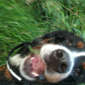 "ehhhm...baasje? beetje rare foto..."