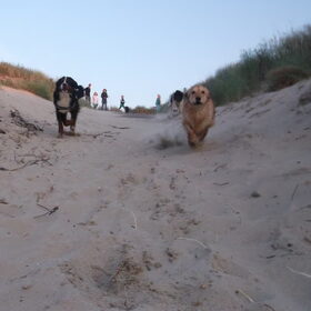 wie het eerste op het strand is!!!