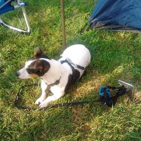 Jack (14 juli) op de camping
