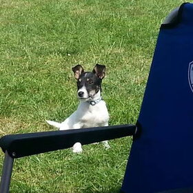 Max (15 juli) op de camping