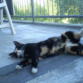Ohhhhhhhhhhh vrouwtje wat is het heet he, Luna is aan het luchten