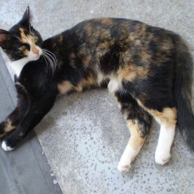 M,n Lunaaaaaaaaaaaaaaa
