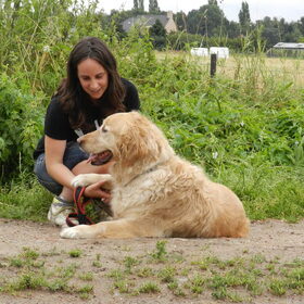 Samen met asielhond Bonte