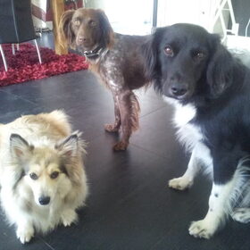 Fleur, Phoebe, Nouska