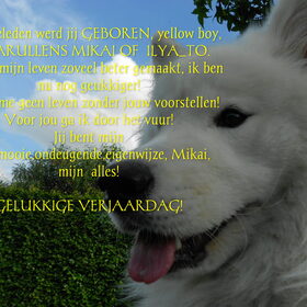 mikai 1 jaar !!