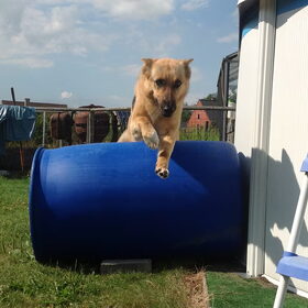 Parcourtje met Heera :-)