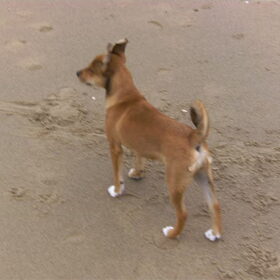 lekker op het strand