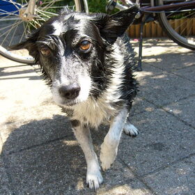 Deze foto is gemaakt toen het bijna 40 graden warm was. Mijn…