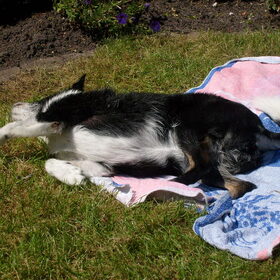 Kelly op probeert zich op een hele warme dag droog te maken…