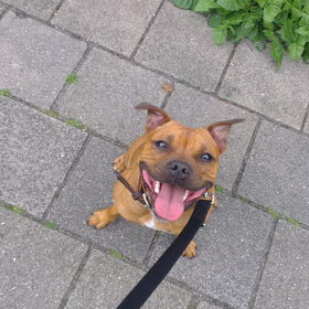 "Mag ik alsjeblieft m'n bal terug?"