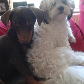 Camila en Sammy