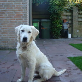 7 maanden oud!