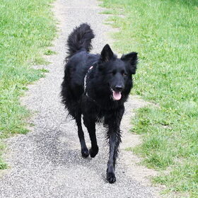 Ginny, 8 augustus 2013