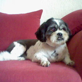 kijk hoe lief wybe let heel goed op
