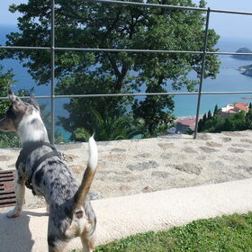 Didi in Bergeggi