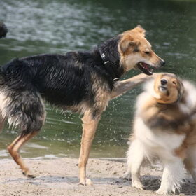 ''Imma boop your head''