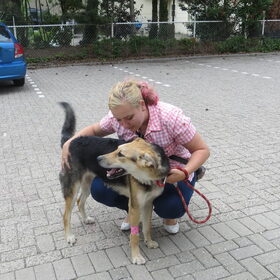 Weer op weg naar huis vanaf de dierenkliniek. Wat was dat…