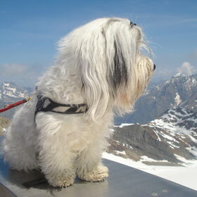 I'm on top op the world :-)