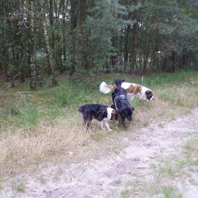 Hondenfoto van <3 *Sh*Er*Lu*Di*Fa* <3 & hun baasjes