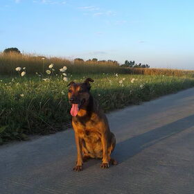 Augustus 2013